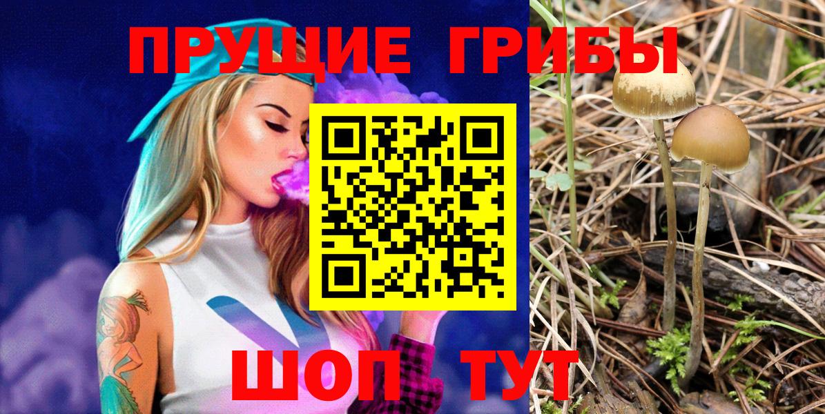 где купить   Галлюциногенные грибы прущие грибы  Вход с VPN  Черногорск 