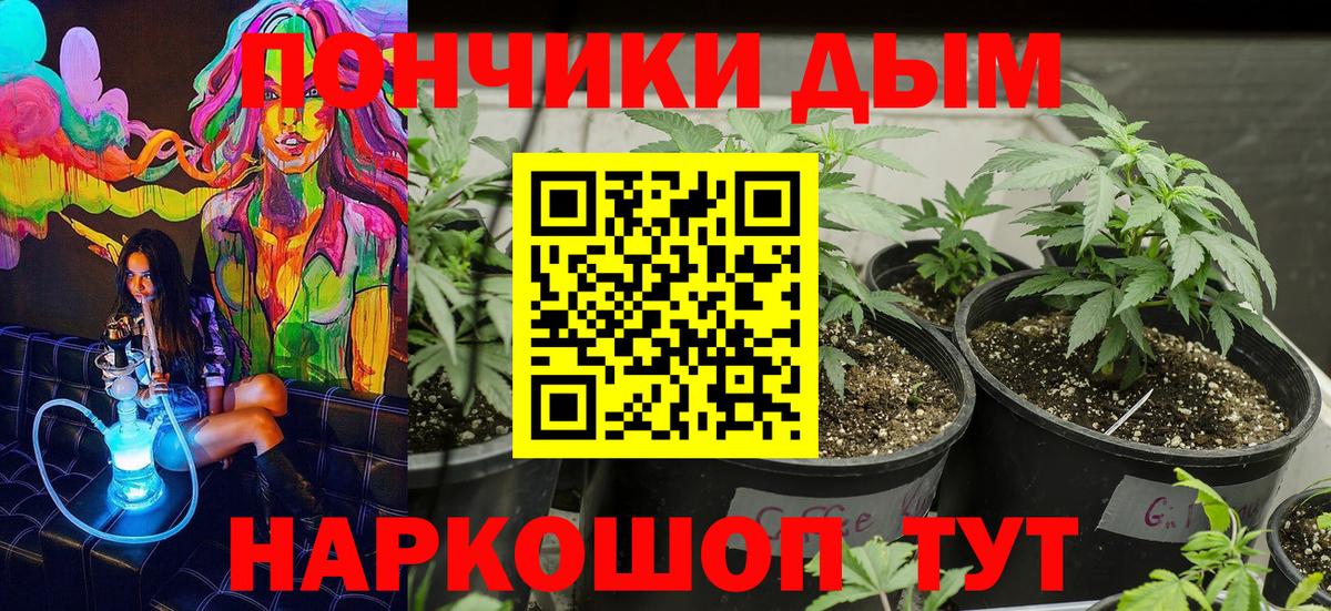 Черногорск  Бошки Шишки гибрид  Бошки марихуана семена  Бошки Шишки MAZAR  МАРИХУАНА гибрид  Вход с VPN 