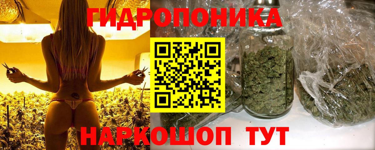 Галлюциногенные грибы Черногорск